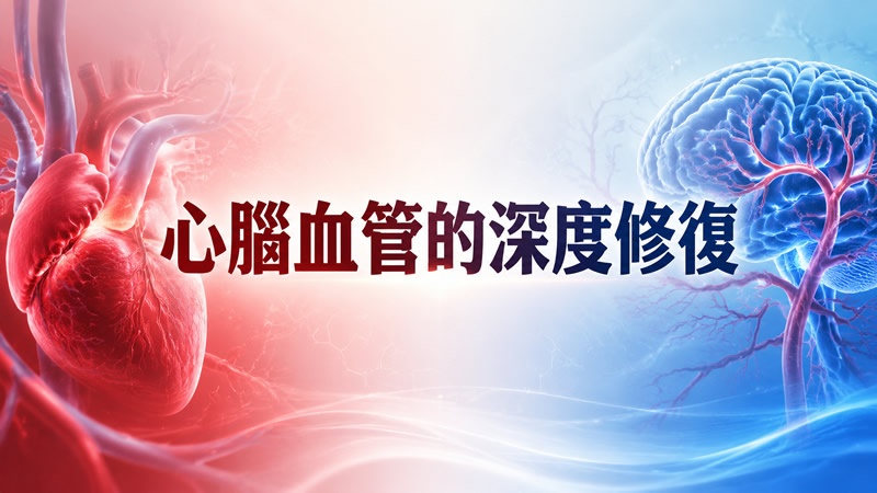 心腦血管的深度修復：從源頭逆轉生理年齡